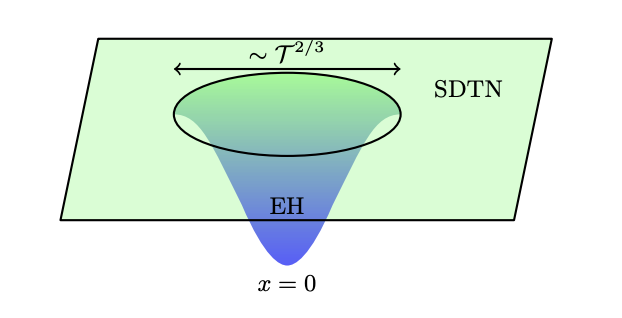 Near-extremal black hole with SDTN and event horizon diagram